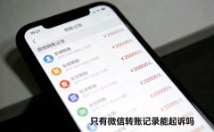 只有微信转账记录能起诉吗